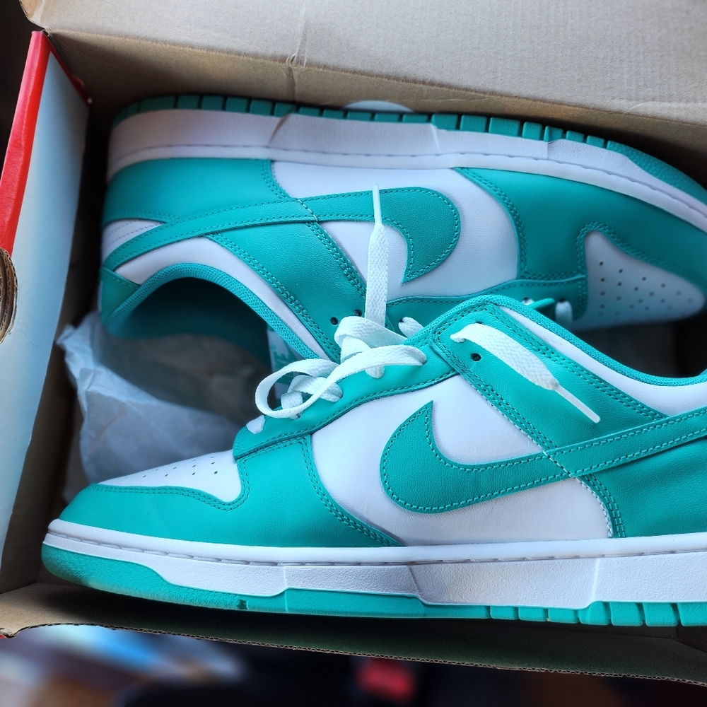 Mens Nike Dunks